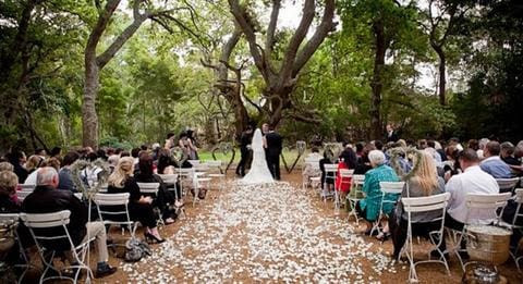 The Best Forest Wedding Venues in Cape Town