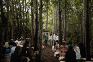 forest wedding venue cape town